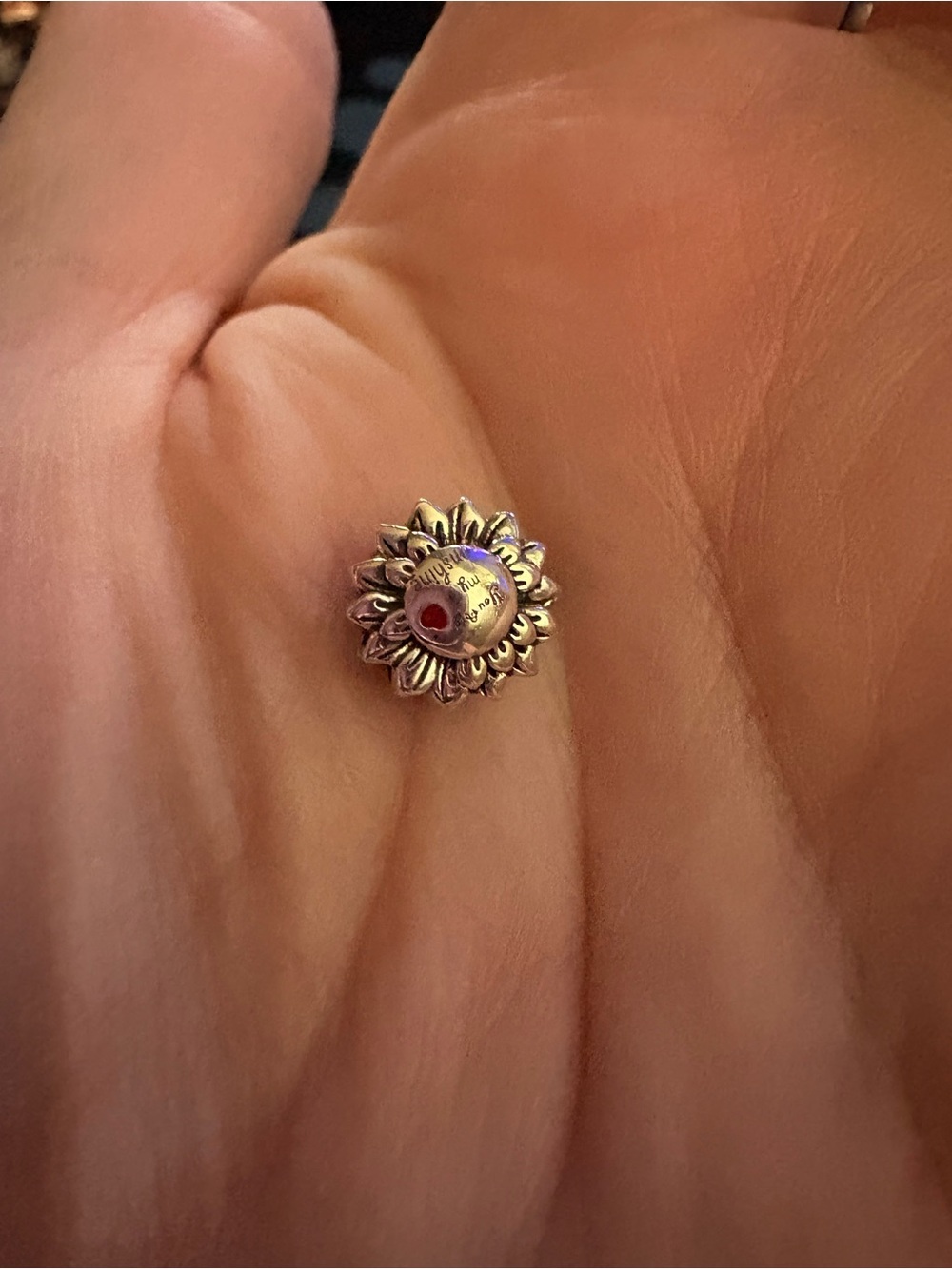 Linx charm